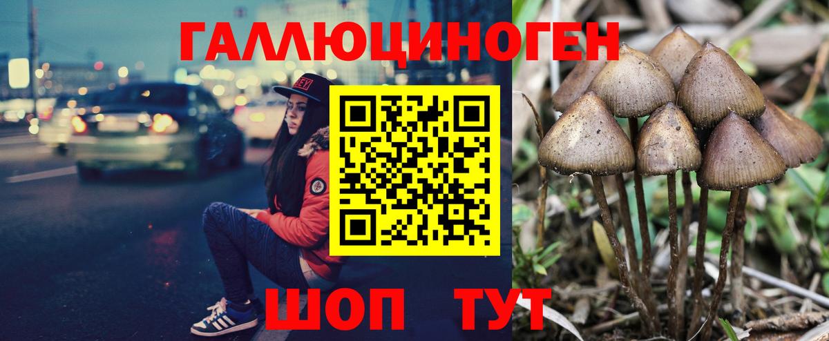Киселёвск  Псилоцибиновые грибы GOLDEN TEACHER  Вход с VPN 