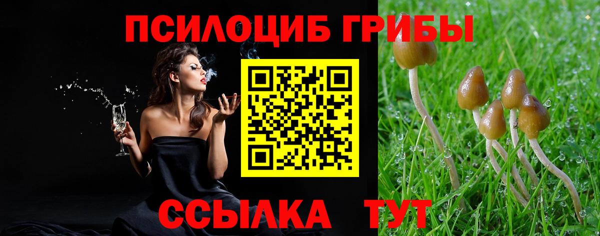  COCAIN Киселёвск